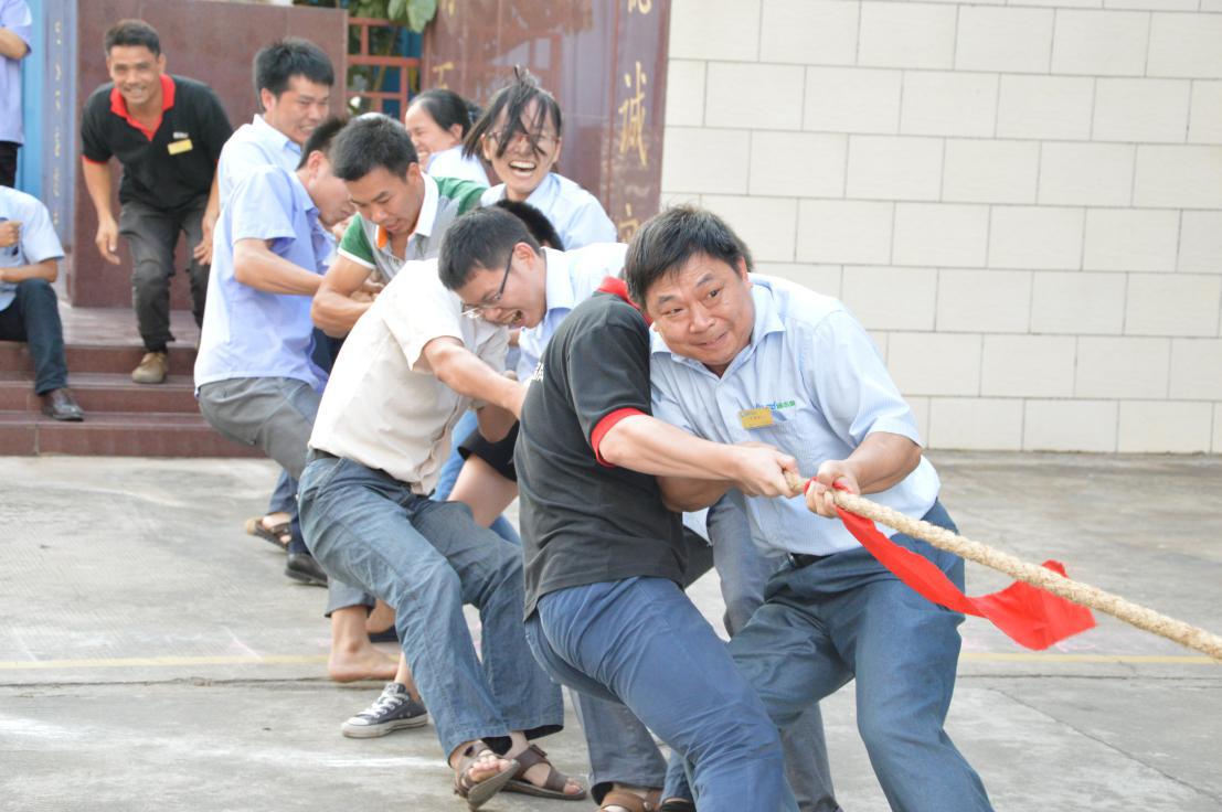 拔河活動(dòng)4